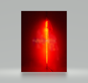 Led Light Flags 2ft to 6ft